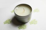 Fresh Bamboo Scented Candle