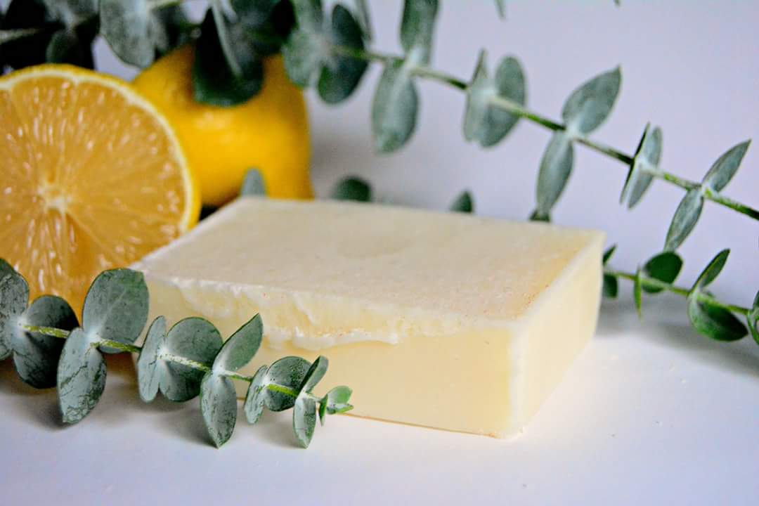 Lemon Eucalyptus Soap Bar – Greener Life Club