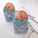 Sea Shell Soap Sea Shell Soap