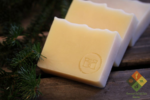 Winter Forest Soap